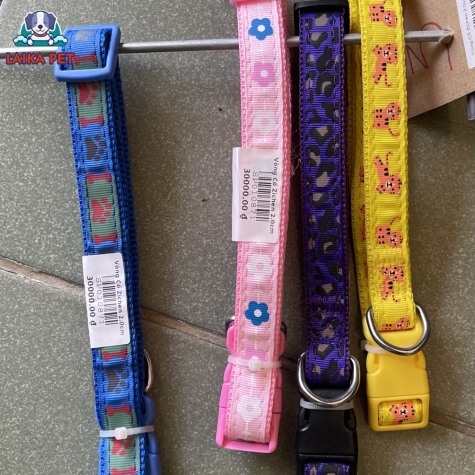 Vòng cổ zichen 2cm