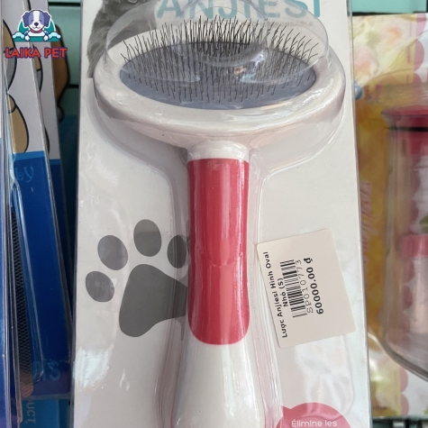 Lược anjiesi hình oval nhỏ