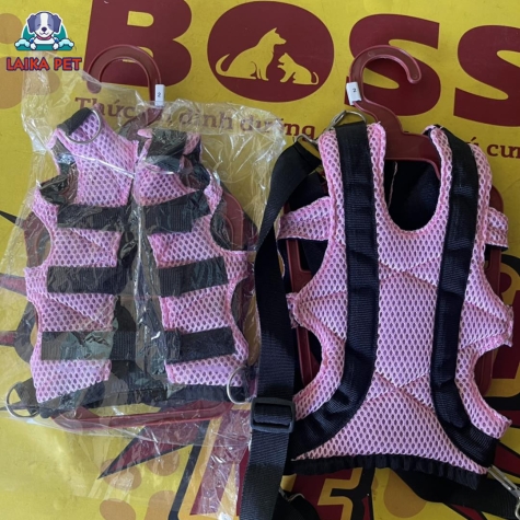 Mẫu áo phao bơi cho cún