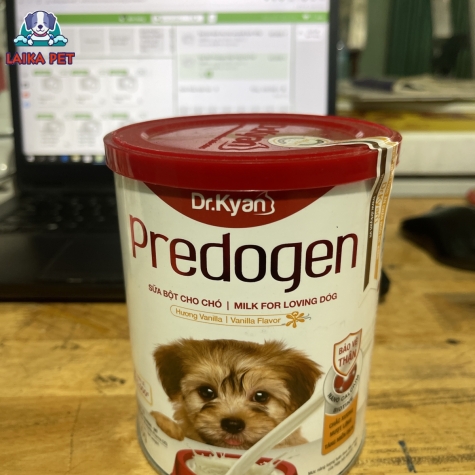 Sữa bột lon cho chó predogen 400g