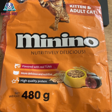 Minino kitten - adult