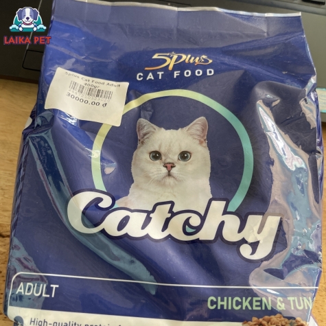 Catchy adult