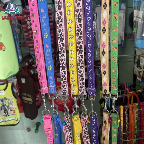 Vòng cổ + dây dắt 1,5cm