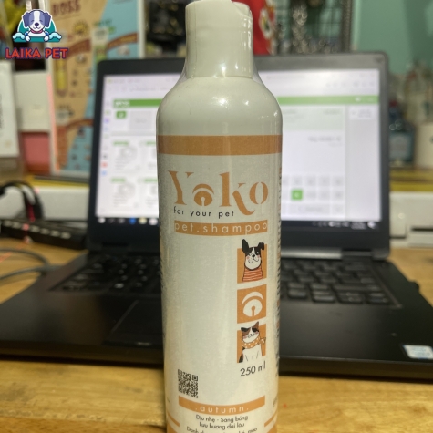 Sữa tắm yoko vàng 250ml