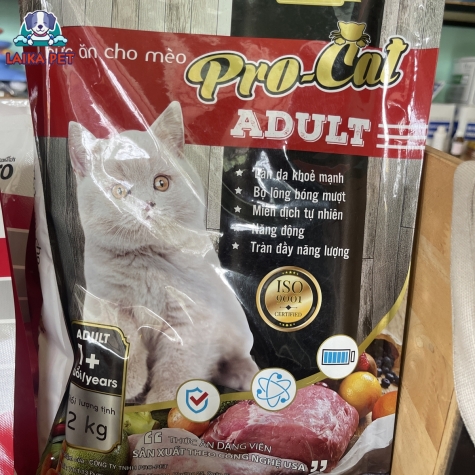 Pro cat adult 