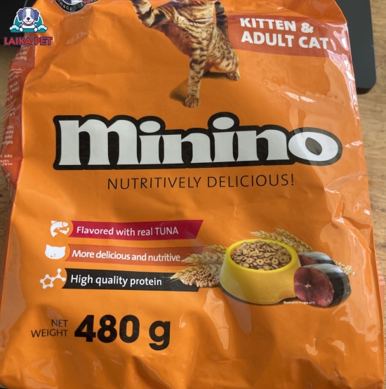 Minino kitten - adult