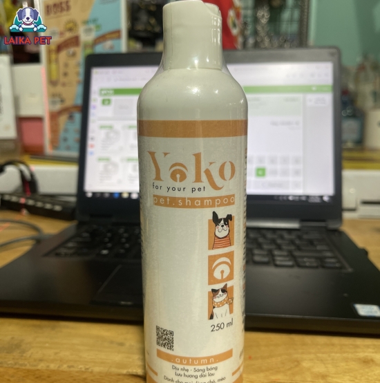Sữa tắm yoko vàng 250ml
